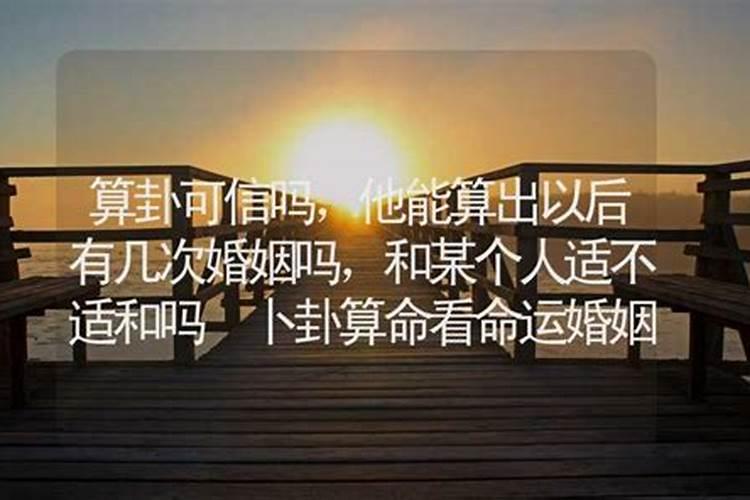 鸡狗八字有合的吗金鸡玉犬破解之法