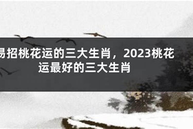 八字怎么看子女个数具体个数