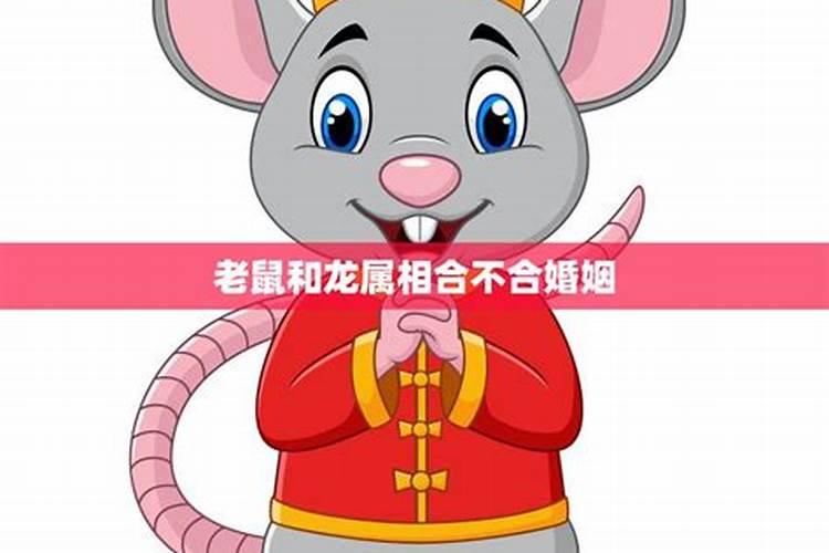 属龙的跟属龙的合婚吗？