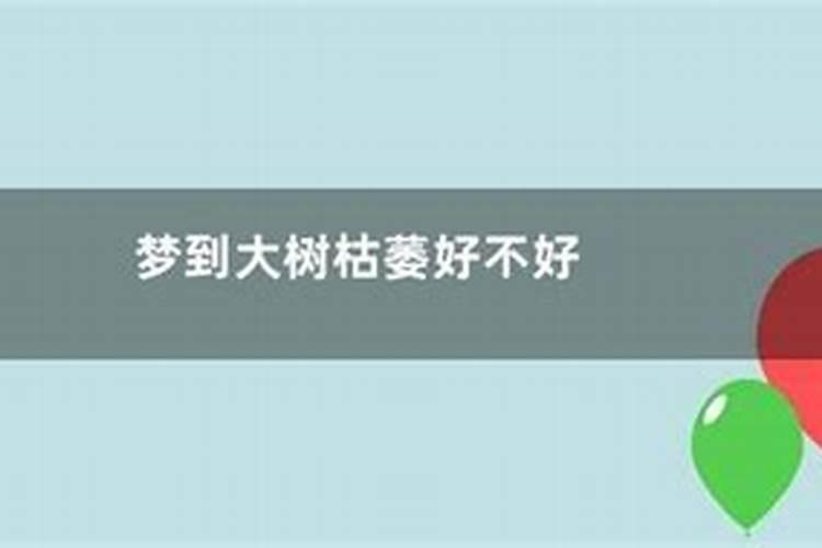 梦见好多很高的大树的预兆