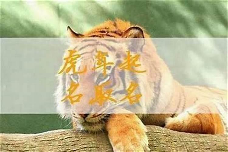虎宝宝取名璟字好不好？