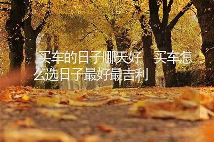 属兔男哪天出生最好属兔男最好的出生日子