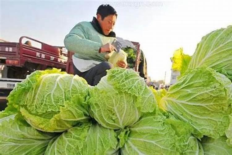 男宝宝生辰八字怎么正确取名