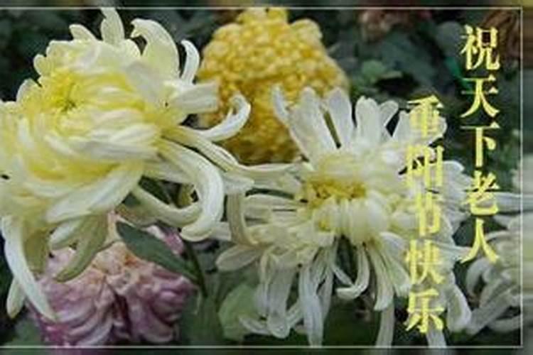 属狗男配什么属相最好