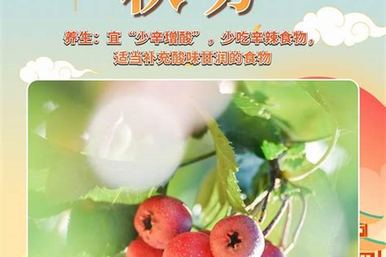 男人梦见狗追自己财运怎么样