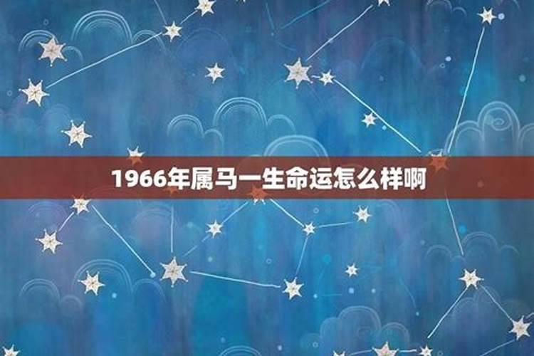 1966年属马人一生运势