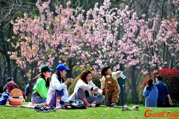 为什么清明节也叫踏青节 ？ 清明节踏青由来与注意事项