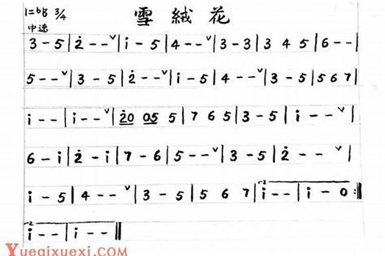 谁有清明节扫墓读观后感作文