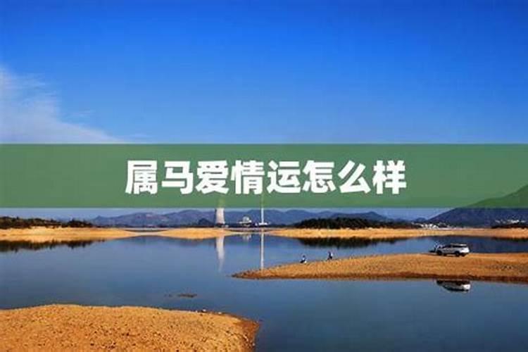 2002年属马人的爱情与命运 2002年属马一生婚姻