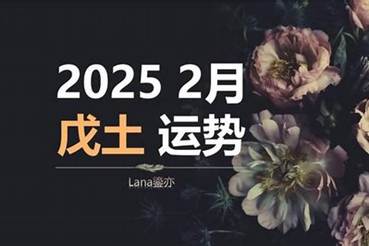 1990年属马2025年运势如何