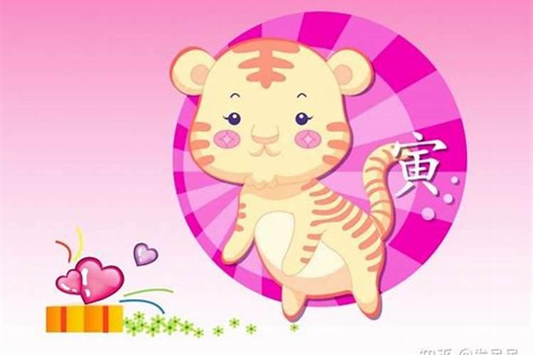 2025年十二生肖男运势