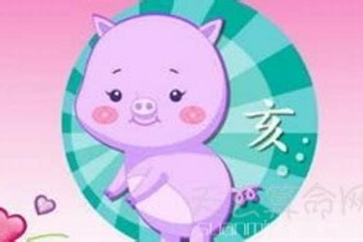属猪的本命年戴什么转运 属猪本命年佩戴什么好