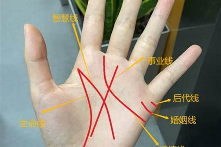 如何通过小拇指看子女能力及晚年运势？