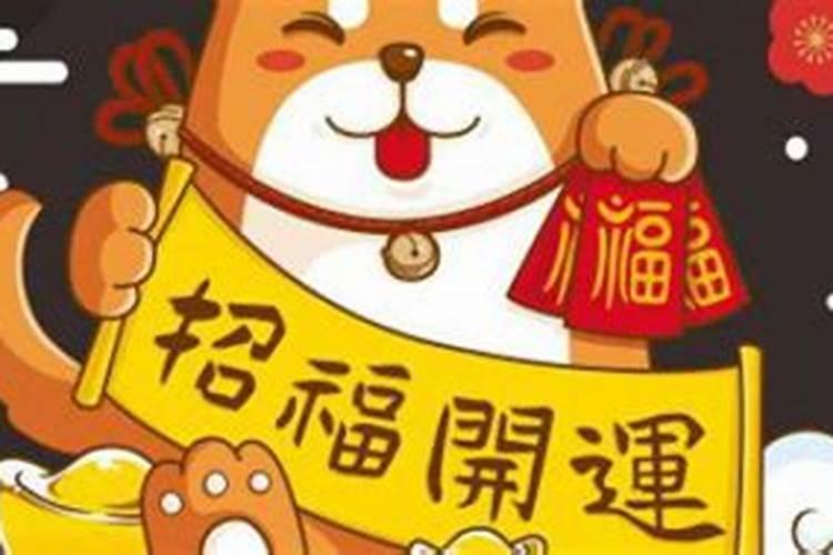 属龙的人养什么最旺财