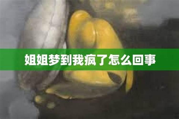 梦见初恋回来找我复合是什么意思