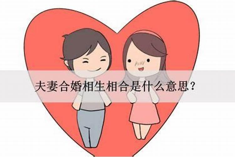 夫妻合婚主要看什么