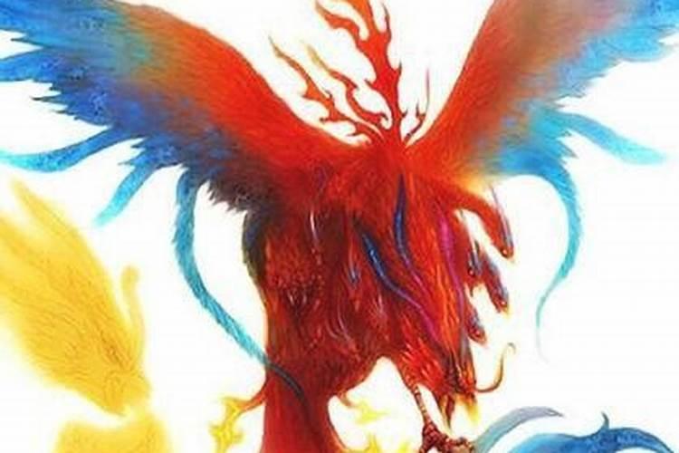 梦见九官鸟的预兆