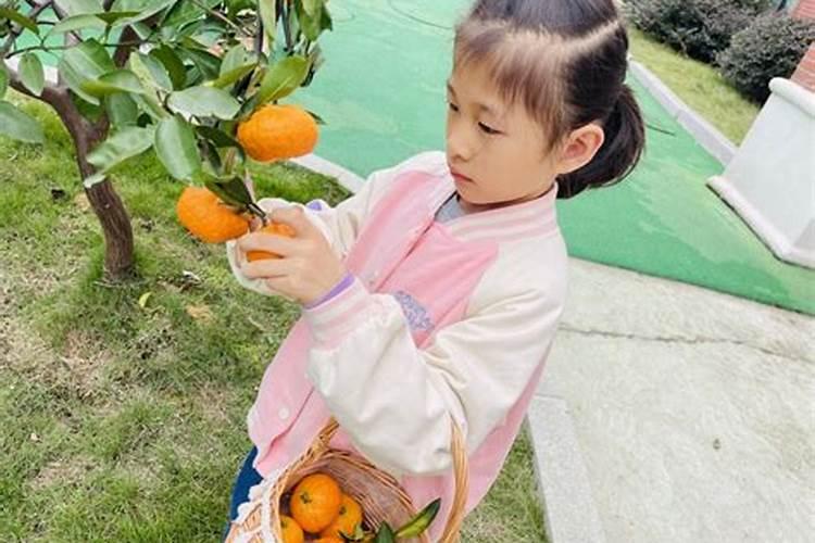 佛教度亡开坛科仪,念的是什么经