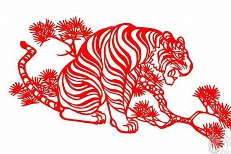 属虎和什么属相最配