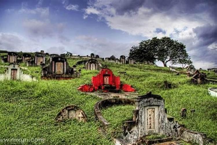 梦见经过墓地看见满地稻田和高大的树还有一大车枣