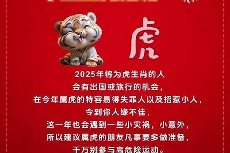 属龙2025运势及运程详解 属龙人2025年每月运势
