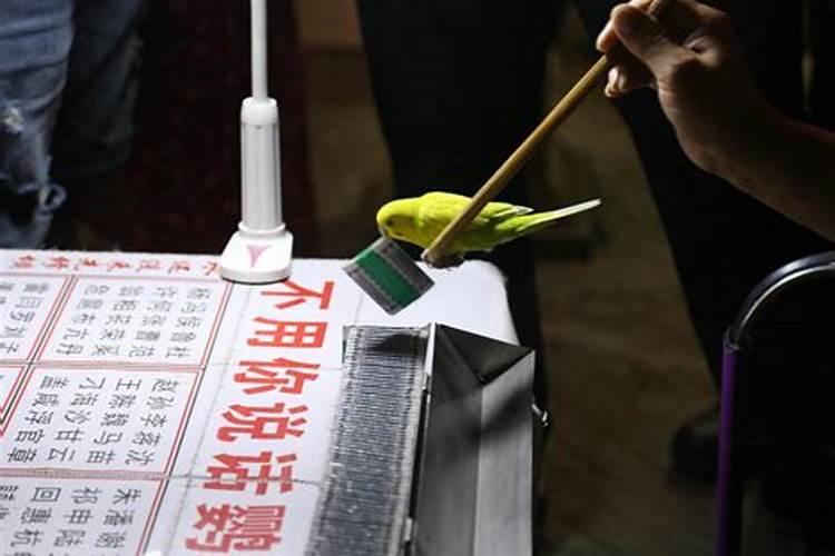 网上泄露八字和姓名后果