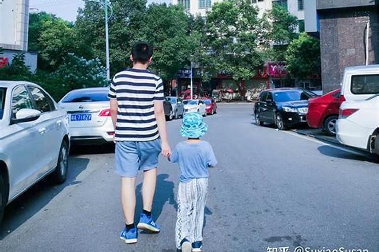 风水中 家里吊兰的摆放也要注意