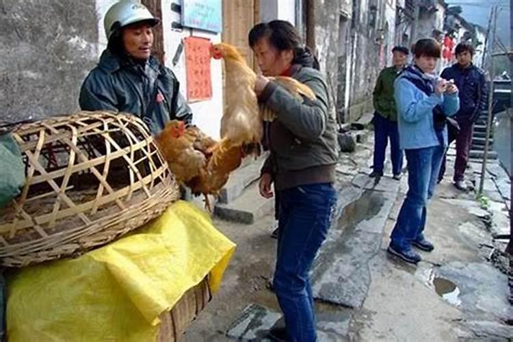 梦见别人给我送鸡是什么意思？