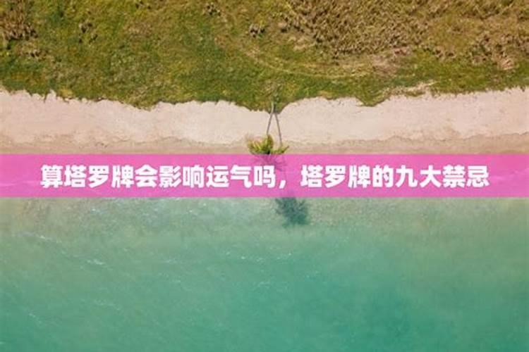 男人梦见狗是胎梦吗