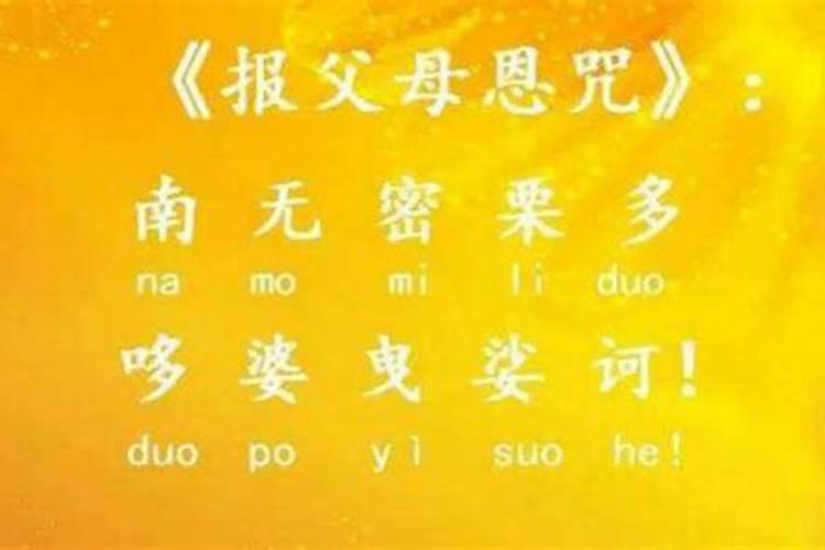 我想把功德回向给我父母,回向文该怎么写