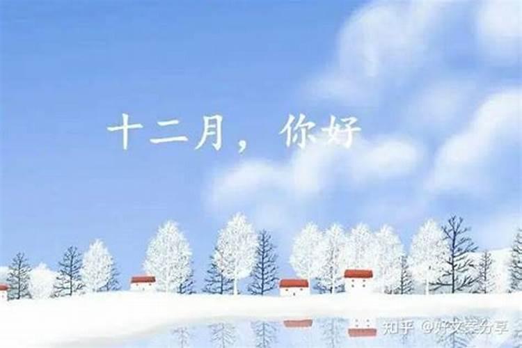 食神是什么意思在八字里