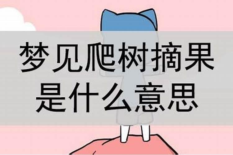 乙木有四个财库是什么意思？