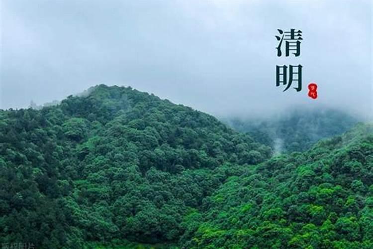 今年清明是几月几日