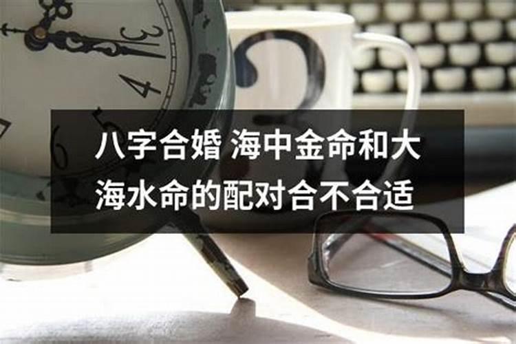 大海水和海中金婚姻怎么样