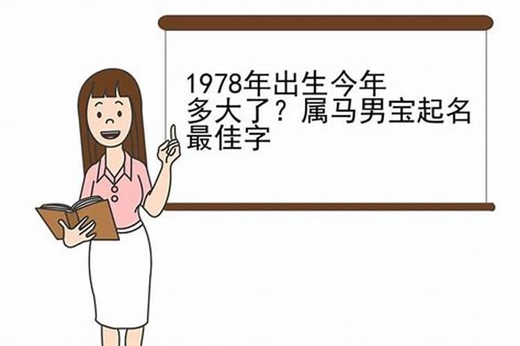 属马多大年龄2024 属马2024年运势运程