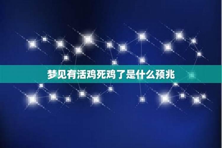 梦见鸡死了是什么预兆 梦见鸡死了是什么预兆周公解梦