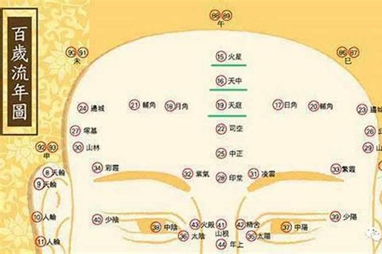 五官面相对应年龄,50岁后发大财的面相