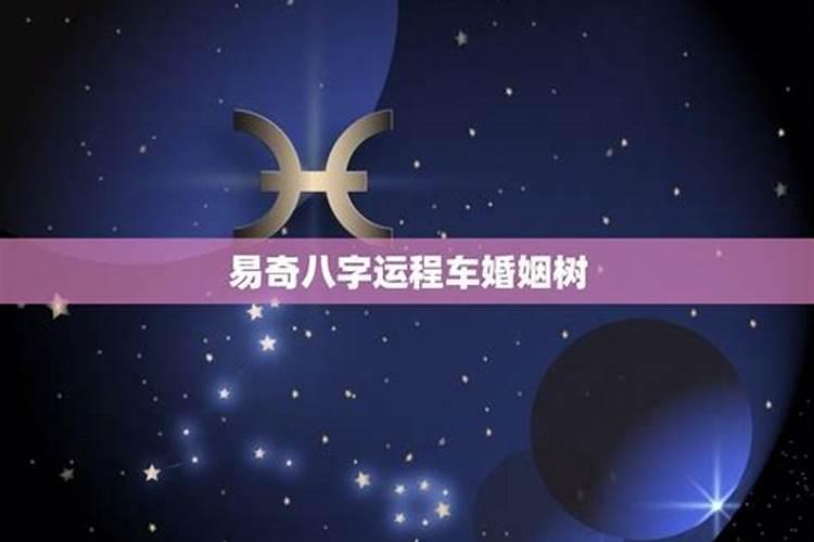 易奇八字软件推出的婚姻树算的准吗？