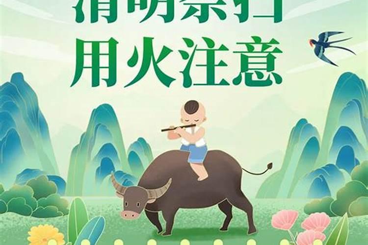 清明快到了,宝宝可以去拜山吗