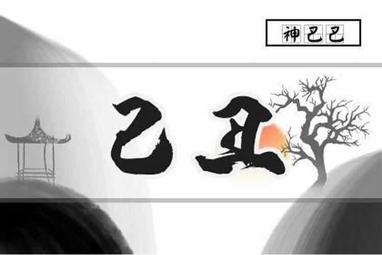 甲寅年庚午月己丑日壬申时生人的运程