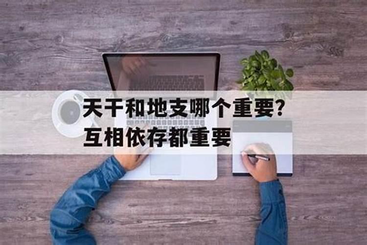 夫妻八字天干地支相合,夫妻相合是看天干还是地支？