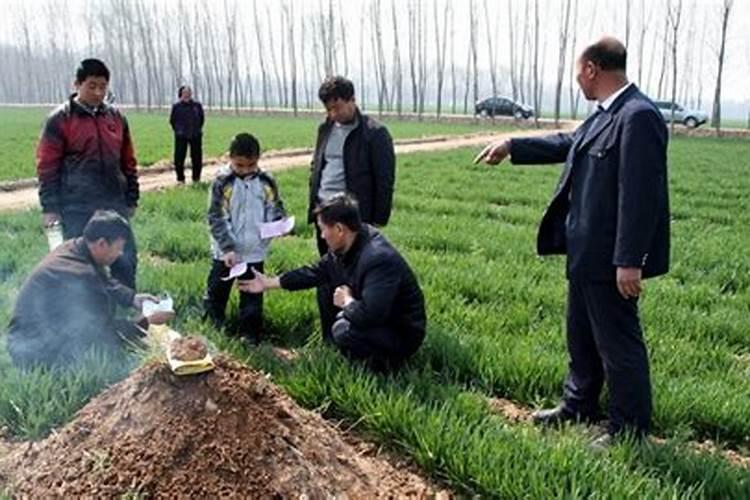 冬至扫墓习俗