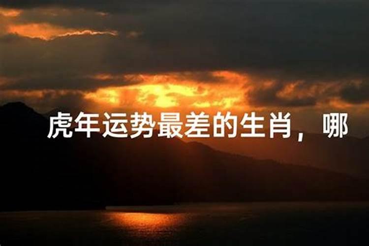 虎年结婚忌讳什么属相,哪些属相不宜在虎年结婚