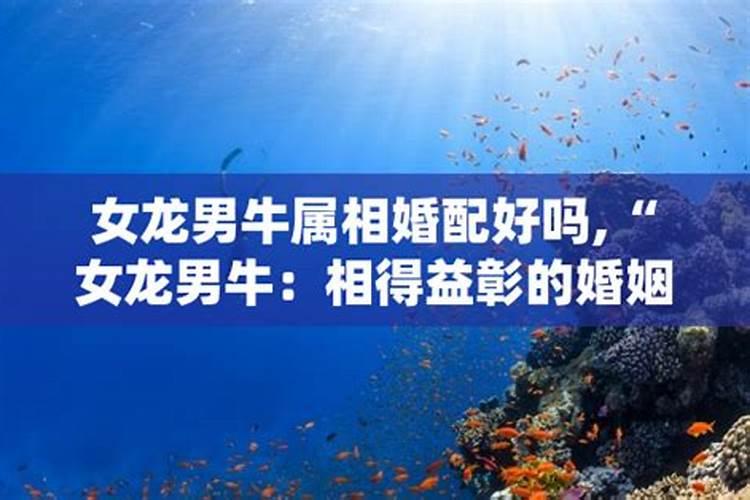 梦见和同学一起游泳预示着什么？有什么特殊意思？