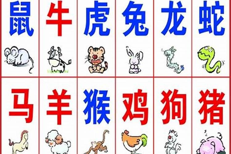 十二属相哪个年纪最大,十二生肖中哪个最大？哪个最小？