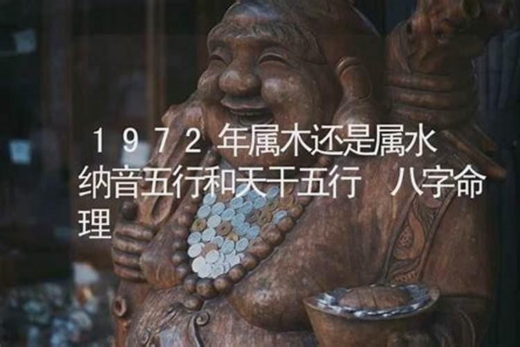 72年鼠的一生 1972年属鼠人的命运如何