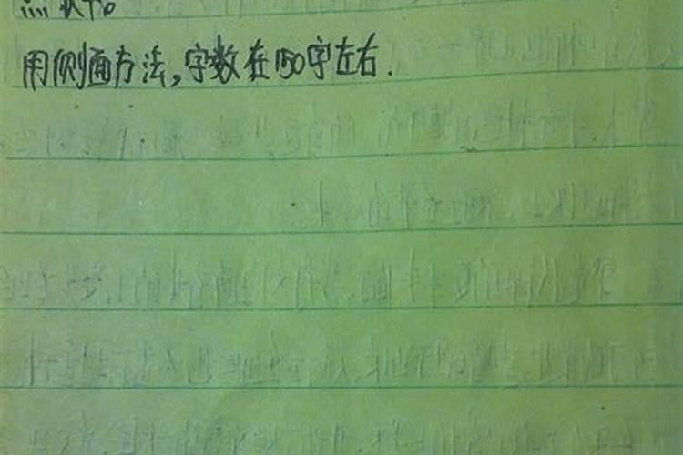传统节日习俗小练笔30到40字
