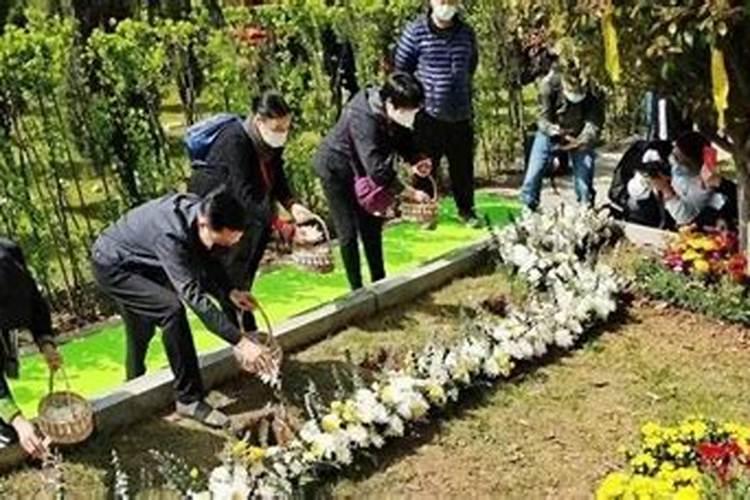 清明节几点可以上坟