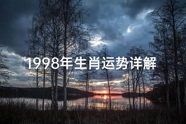 98年属虎2024年运势及婚姻运程如何