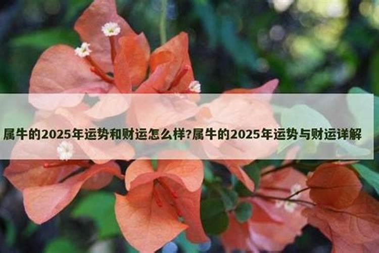 83年属猪25年每月运势